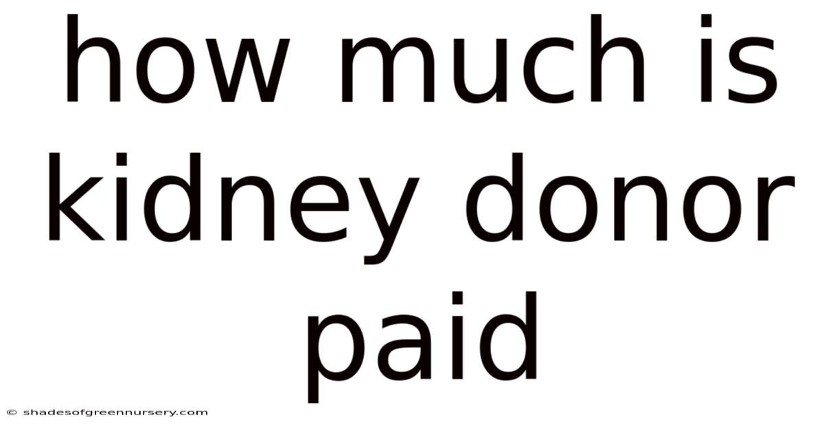 How Much Is Kidney Donor Paid