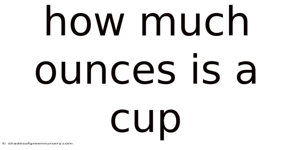 How Much Ounces Is A Cup