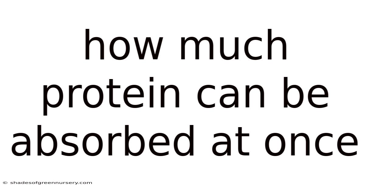 How Much Protein Can Be Absorbed At Once