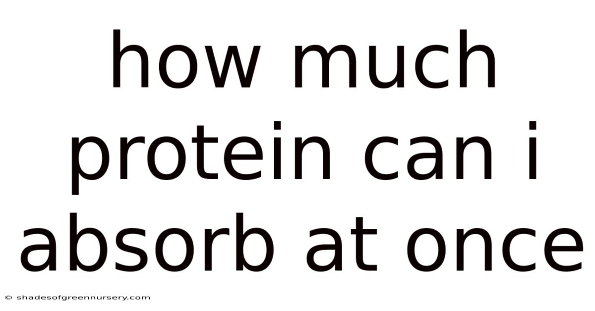 How Much Protein Can I Absorb At Once
