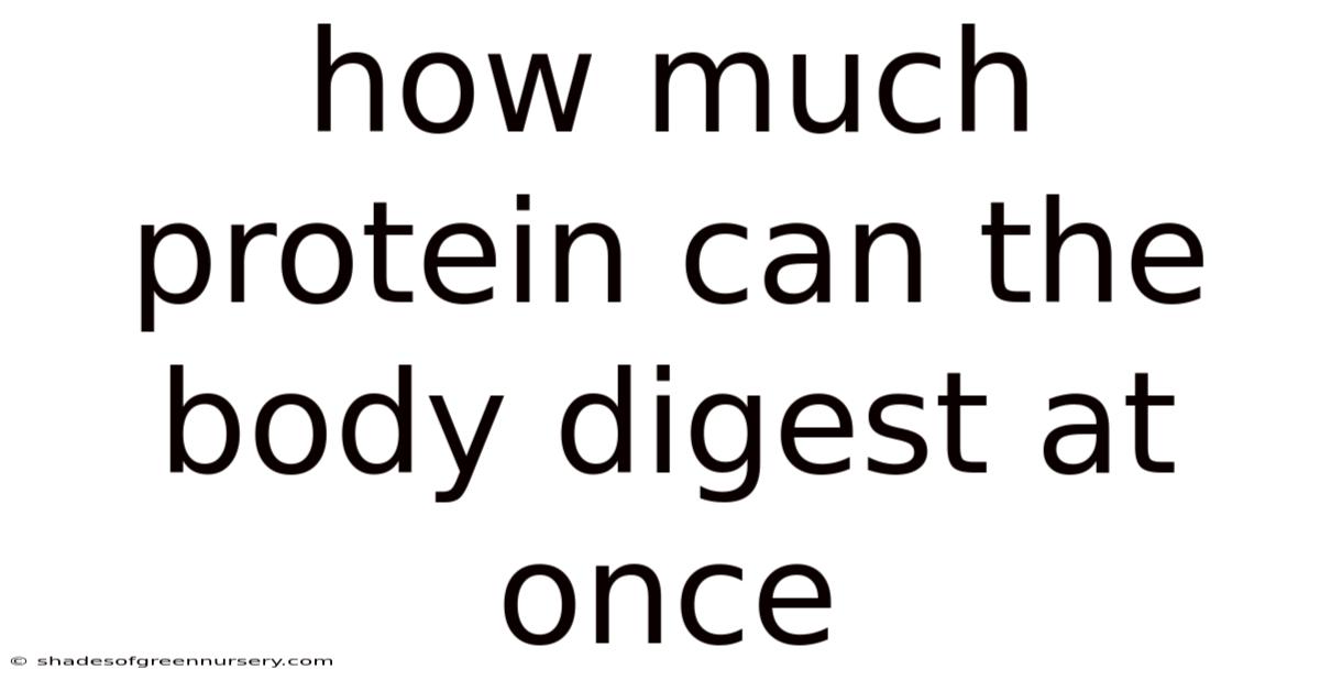 How Much Protein Can The Body Digest At Once