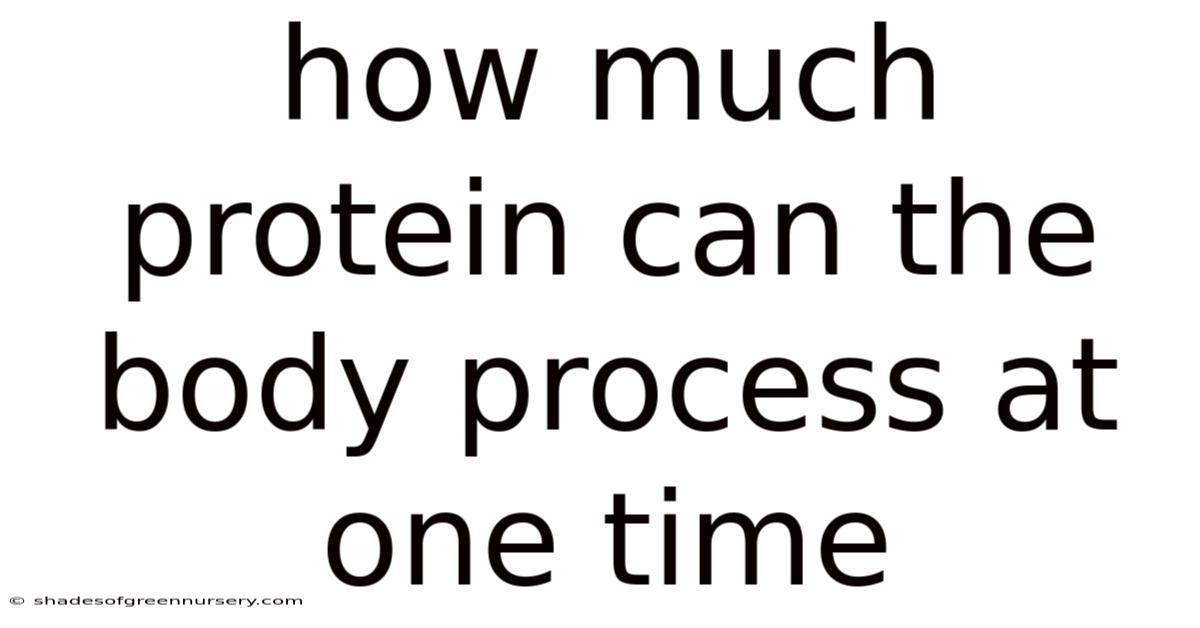 How Much Protein Can The Body Process At One Time