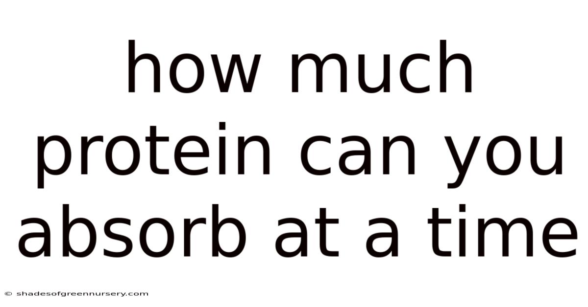 How Much Protein Can You Absorb At A Time