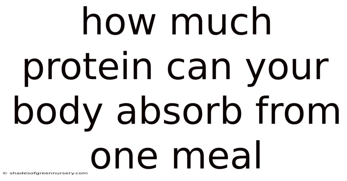 How Much Protein Can Your Body Absorb From One Meal