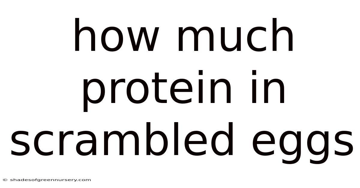 How Much Protein In Scrambled Eggs