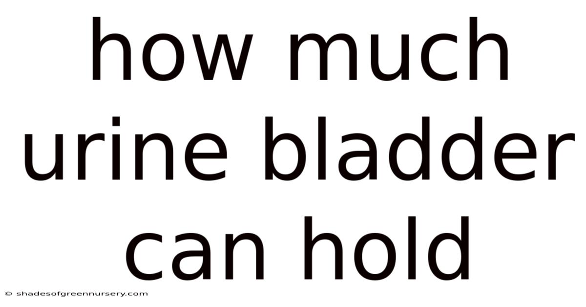 How Much Urine Bladder Can Hold
