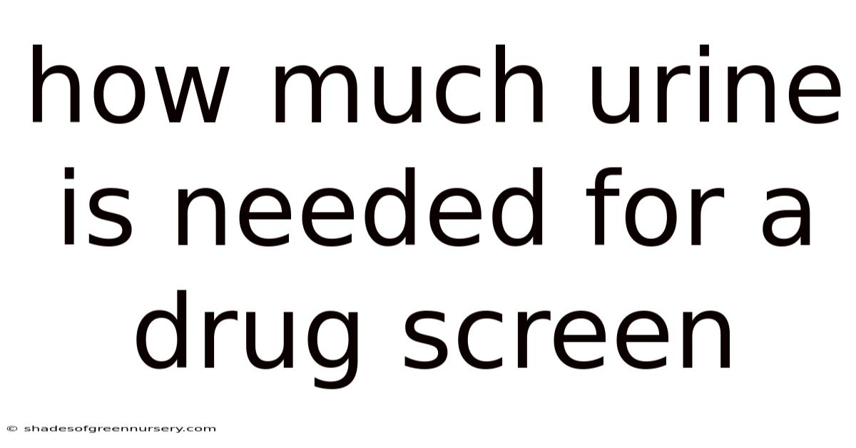 How Much Urine Is Needed For A Drug Screen