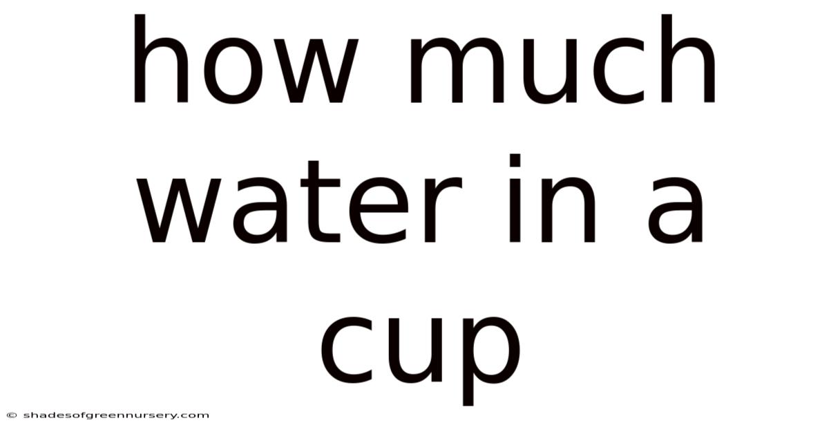 How Much Water In A Cup