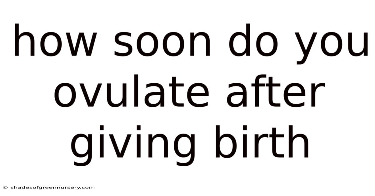 How Soon Do You Ovulate After Giving Birth