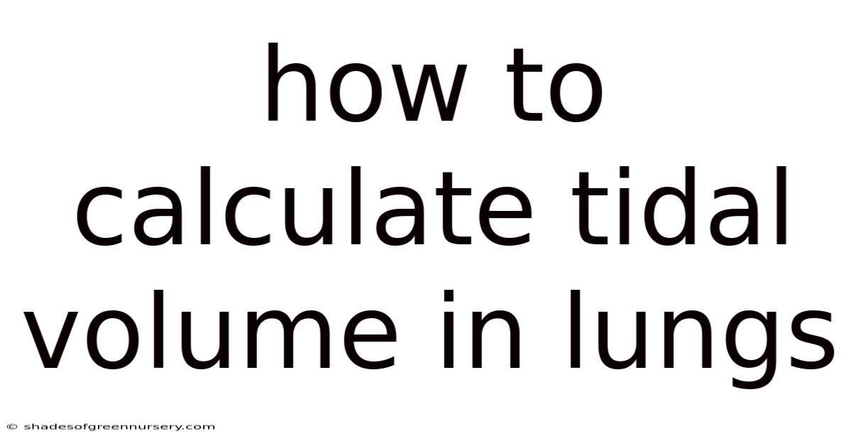 How To Calculate Tidal Volume In Lungs