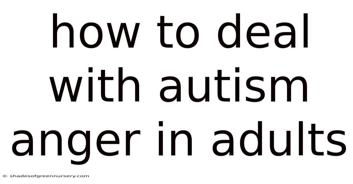How To Deal With Autism Anger In Adults