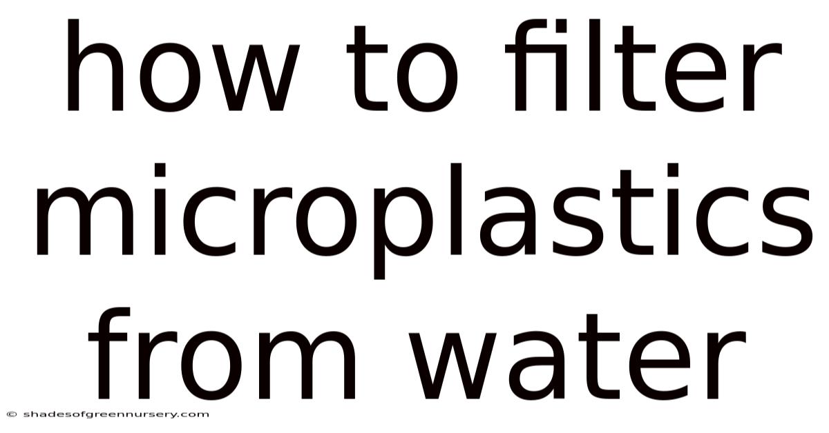 How To Filter Microplastics From Water