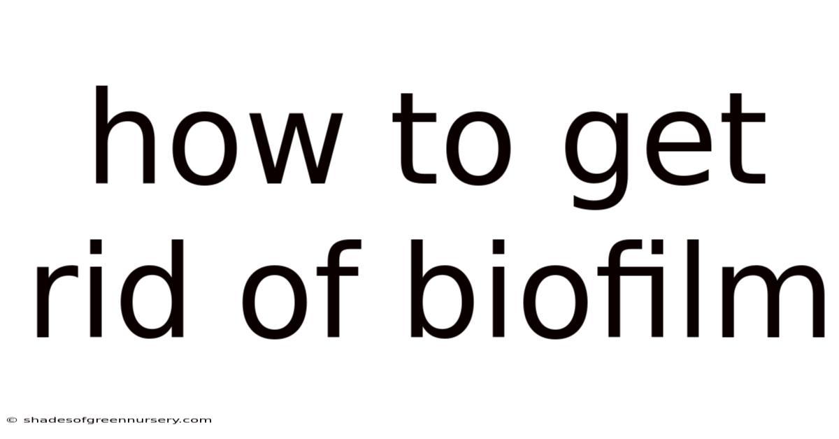 How To Get Rid Of Biofilm