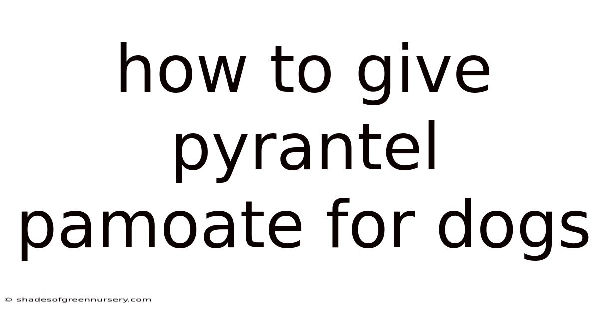 How To Give Pyrantel Pamoate For Dogs