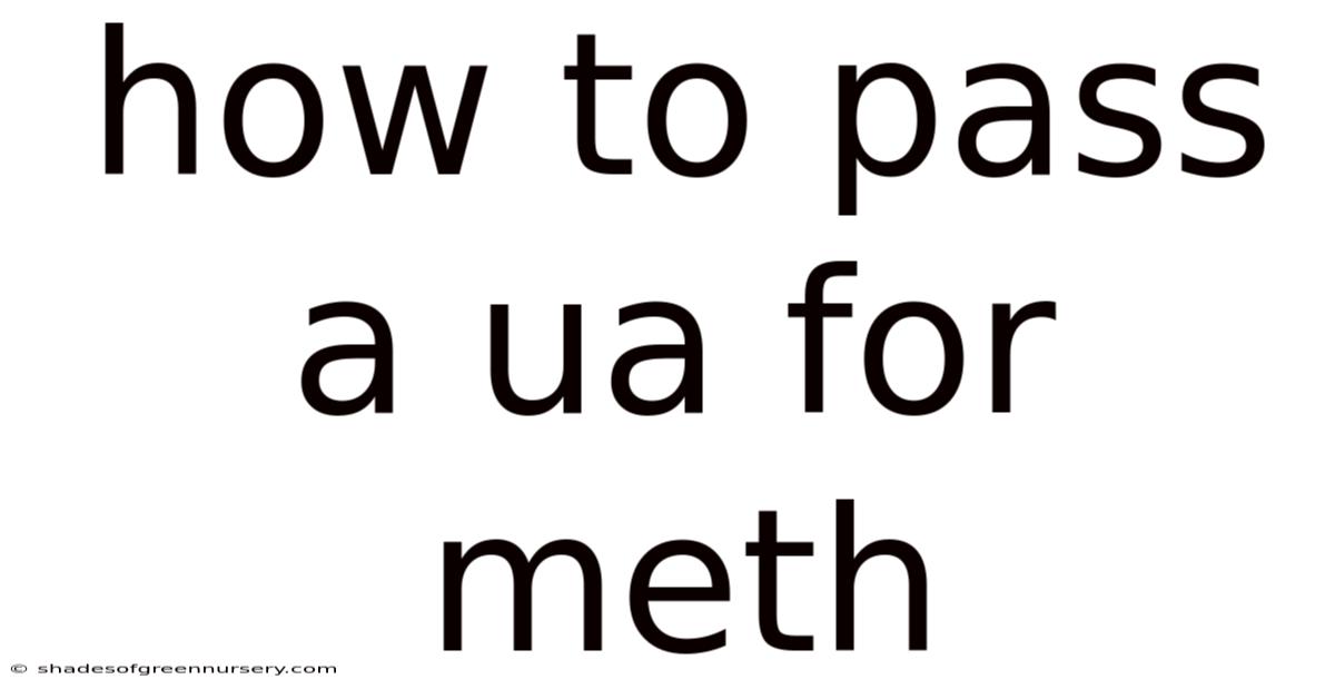 How To Pass A Ua For Meth