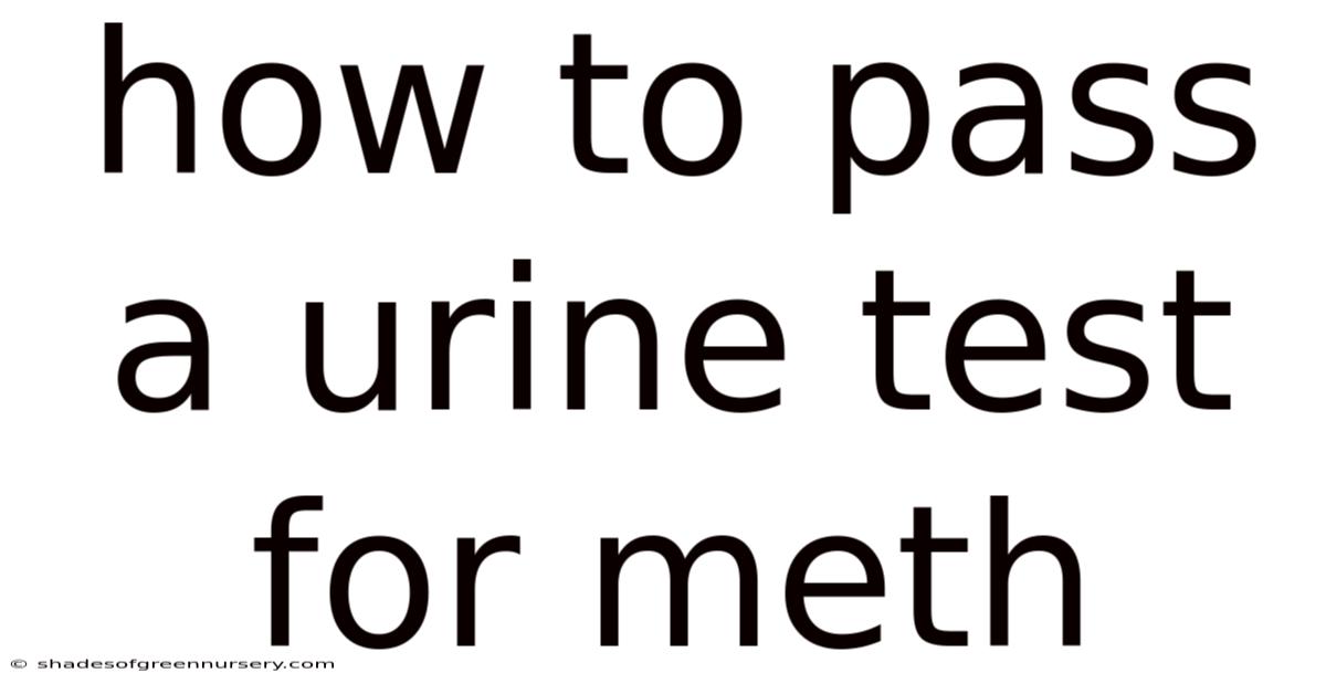 How To Pass A Urine Test For Meth