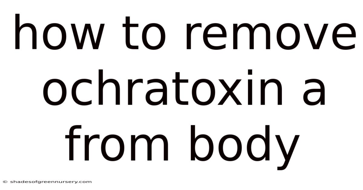 How To Remove Ochratoxin A From Body