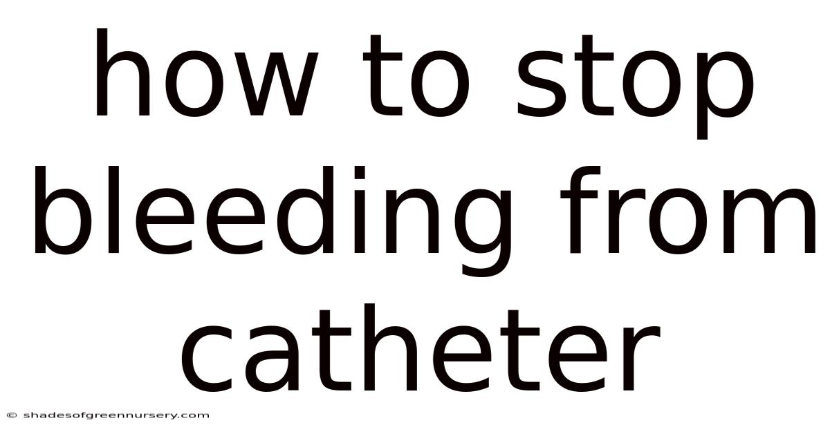 How To Stop Bleeding From Catheter