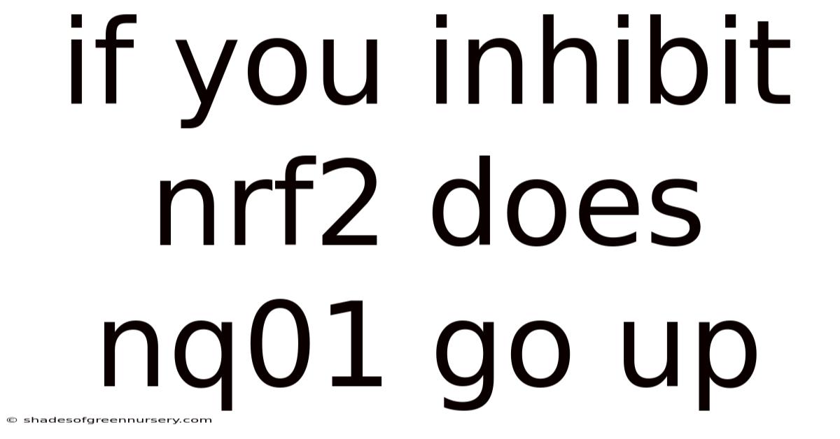 If You Inhibit Nrf2 Does Nq01 Go Up