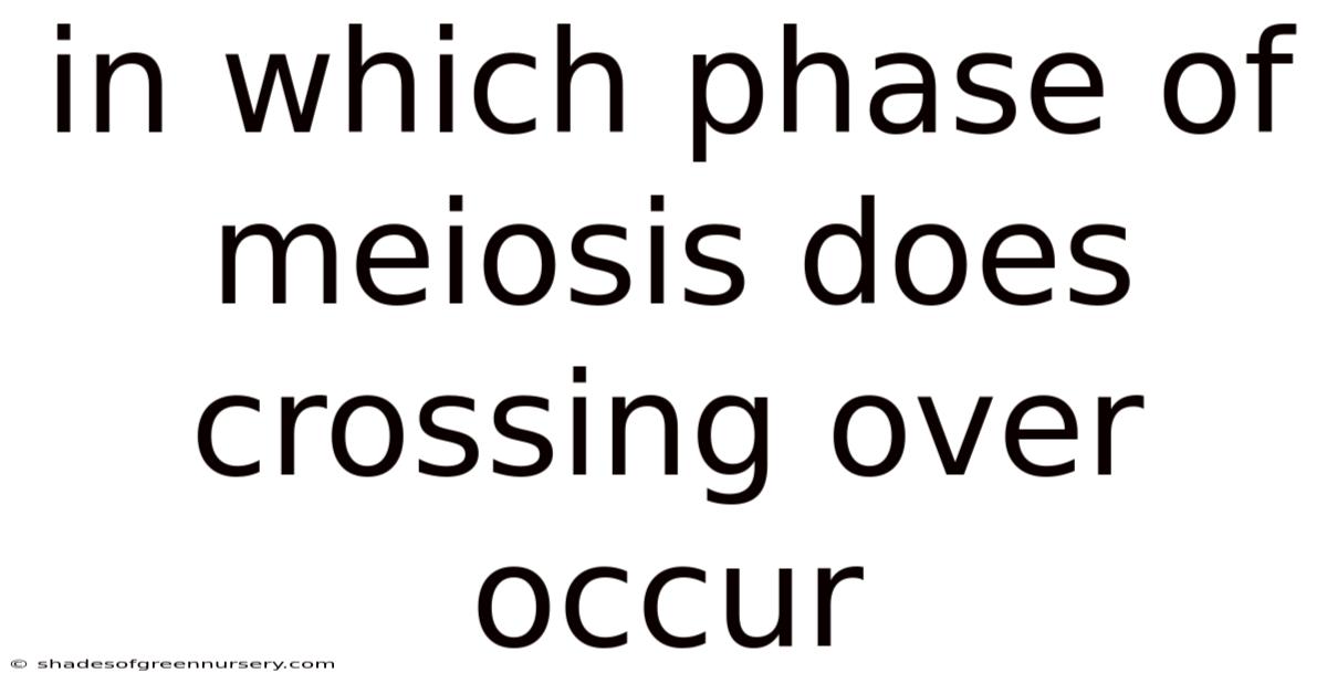 In Which Phase Of Meiosis Does Crossing Over Occur