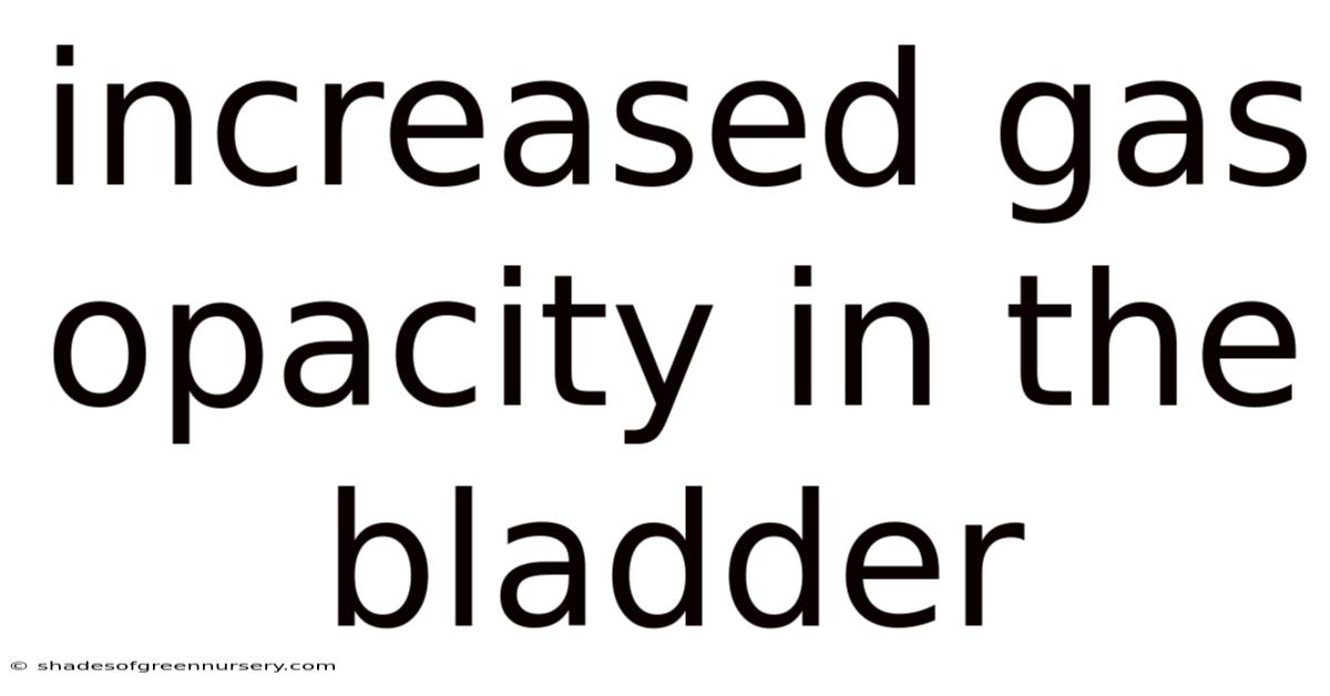 Increased Gas Opacity In The Bladder