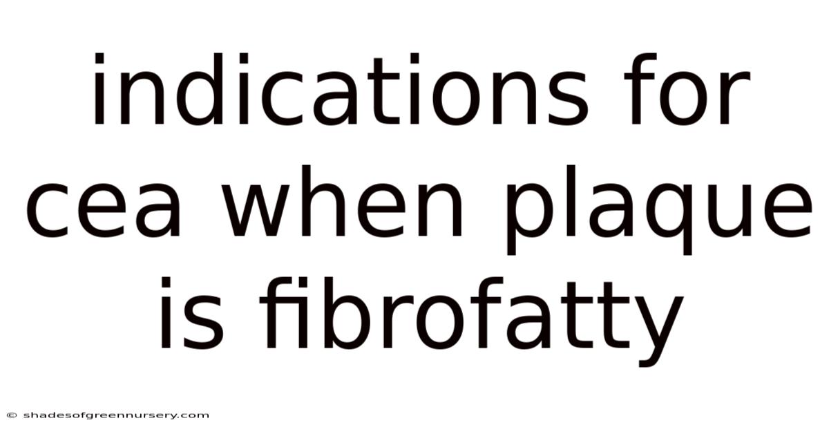 Indications For Cea When Plaque Is Fibrofatty