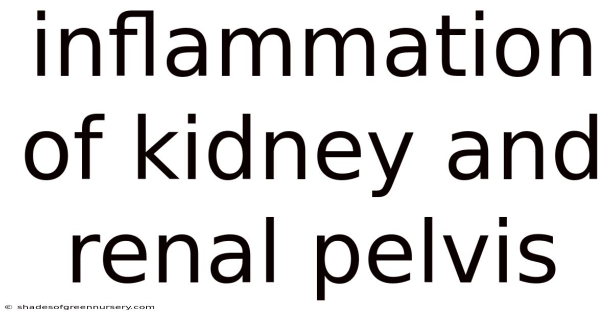 Inflammation Of Kidney And Renal Pelvis