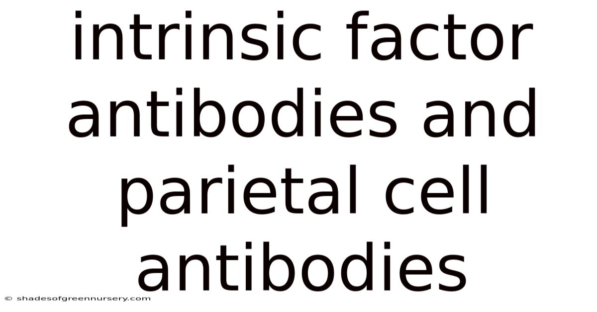 Intrinsic Factor Antibodies And Parietal Cell Antibodies