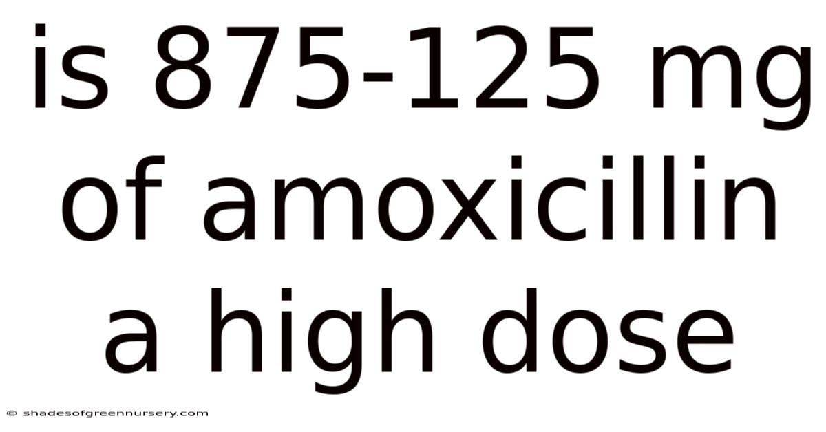 Is 875-125 Mg Of Amoxicillin A High Dose