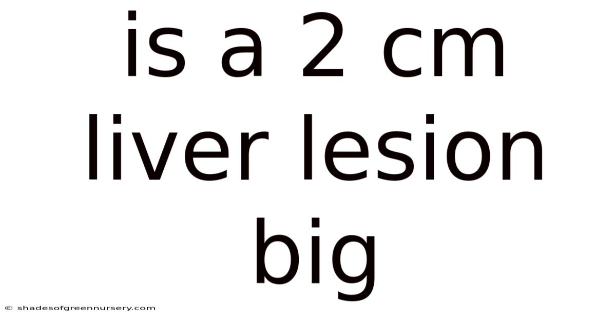 Is A 2 Cm Liver Lesion Big