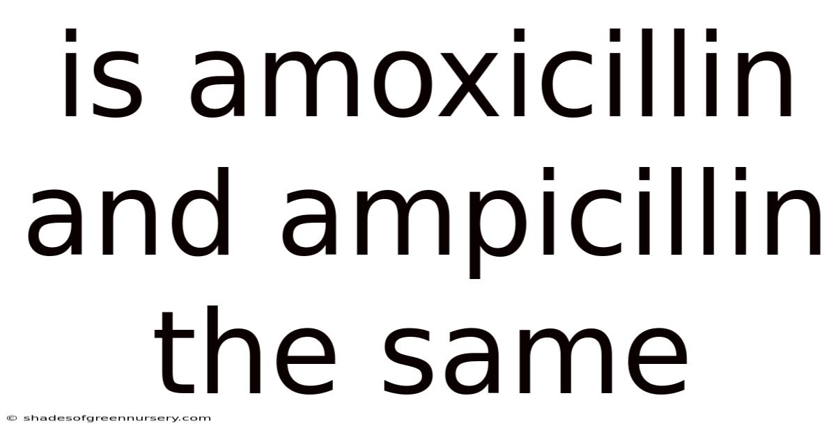 Is Amoxicillin And Ampicillin The Same