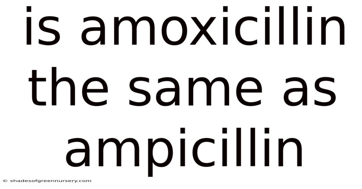 Is Amoxicillin The Same As Ampicillin