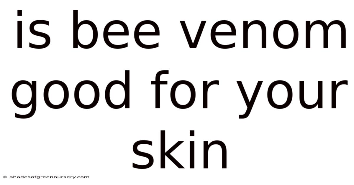 Is Bee Venom Good For Your Skin