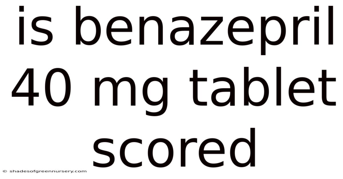 Is Benazepril 40 Mg Tablet Scored