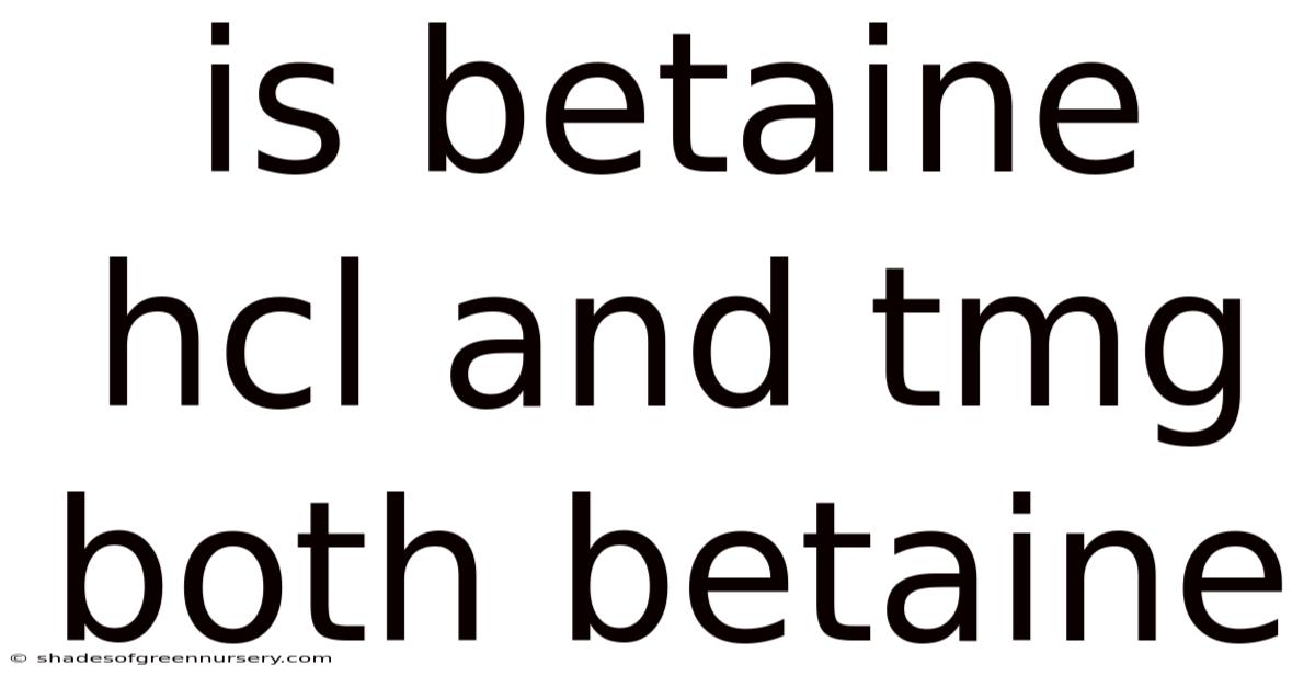 Is Betaine Hcl And Tmg Both Betaine