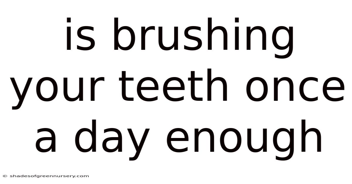 Is Brushing Your Teeth Once A Day Enough