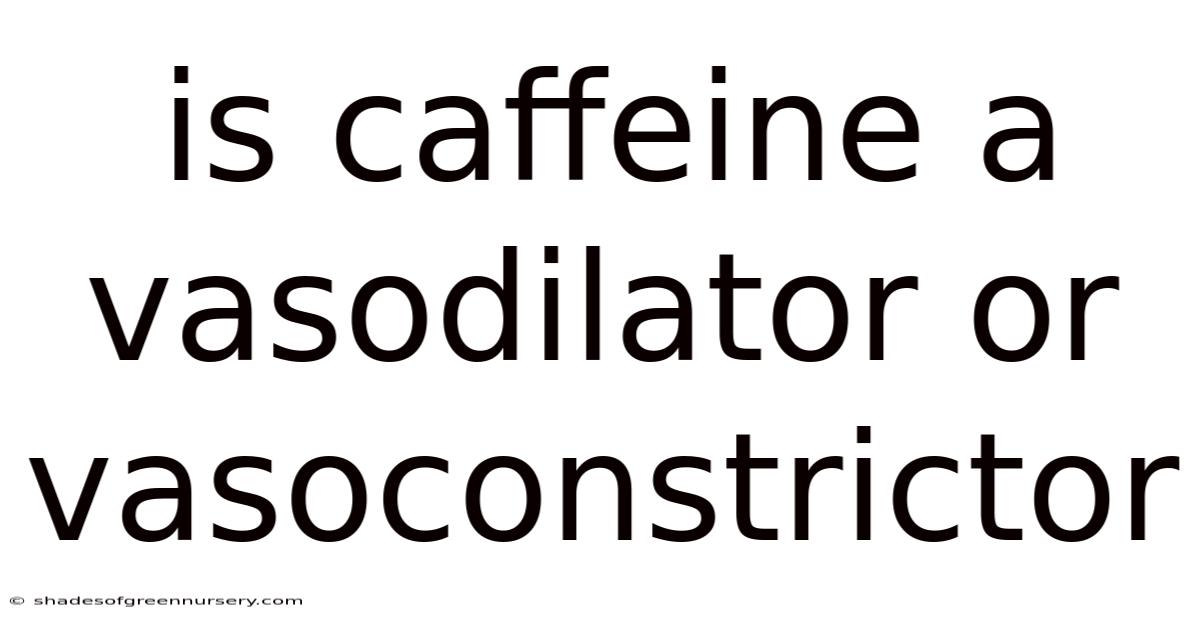 Is Caffeine A Vasodilator Or Vasoconstrictor