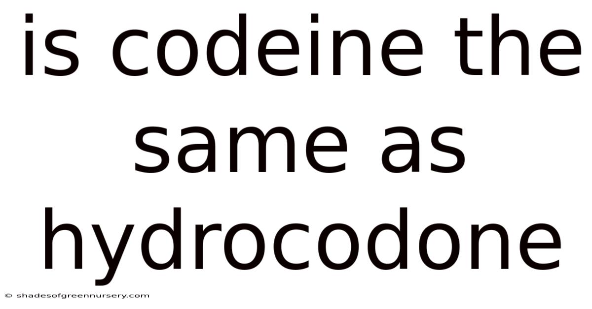 Is Codeine The Same As Hydrocodone