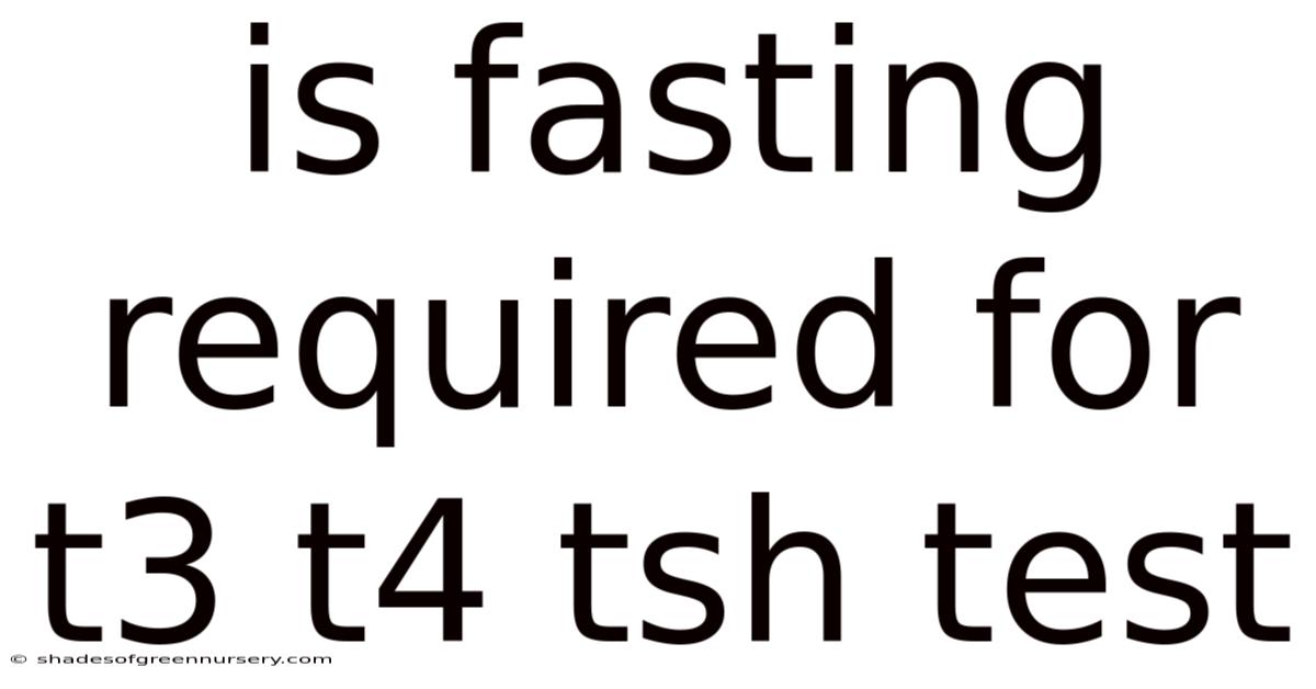 Is Fasting Required For T3 T4 Tsh Test
