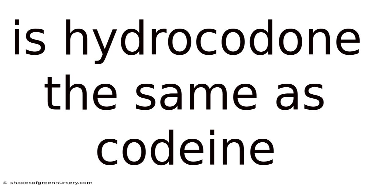 Is Hydrocodone The Same As Codeine