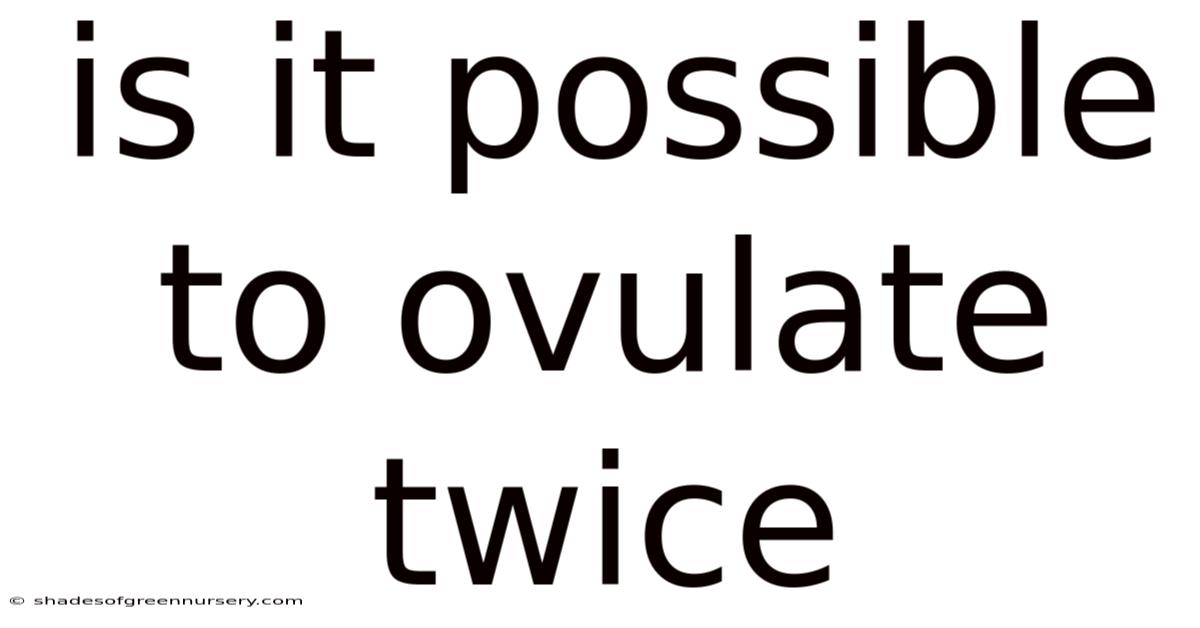 Is It Possible To Ovulate Twice