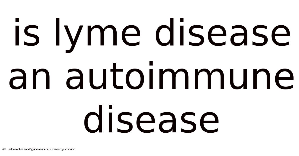 Is Lyme Disease An Autoimmune Disease
