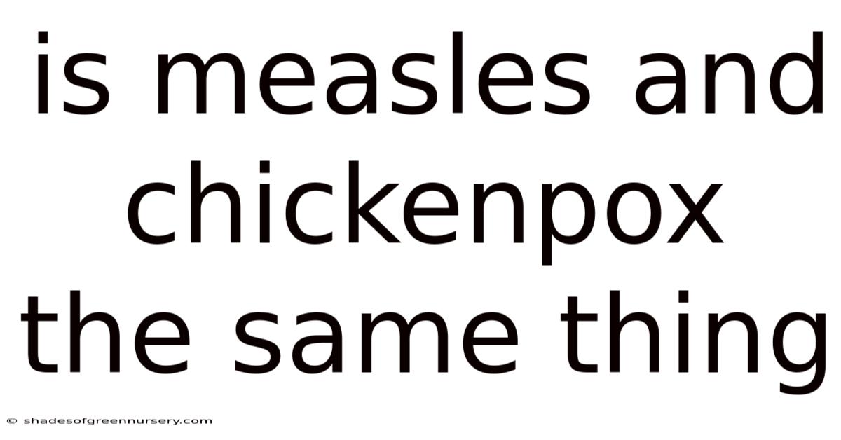 Is Measles And Chickenpox The Same Thing