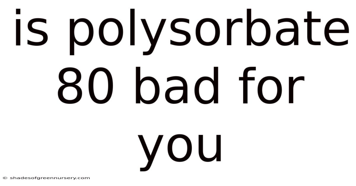 Is Polysorbate 80 Bad For You