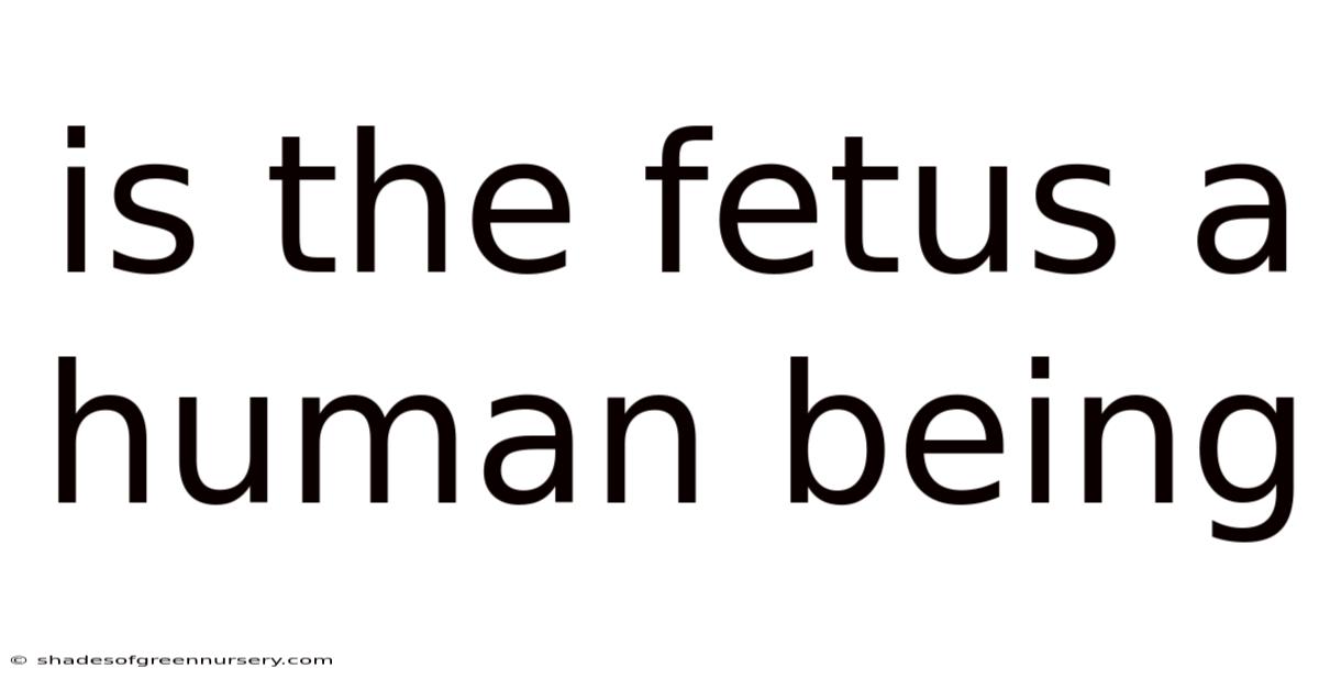Is The Fetus A Human Being