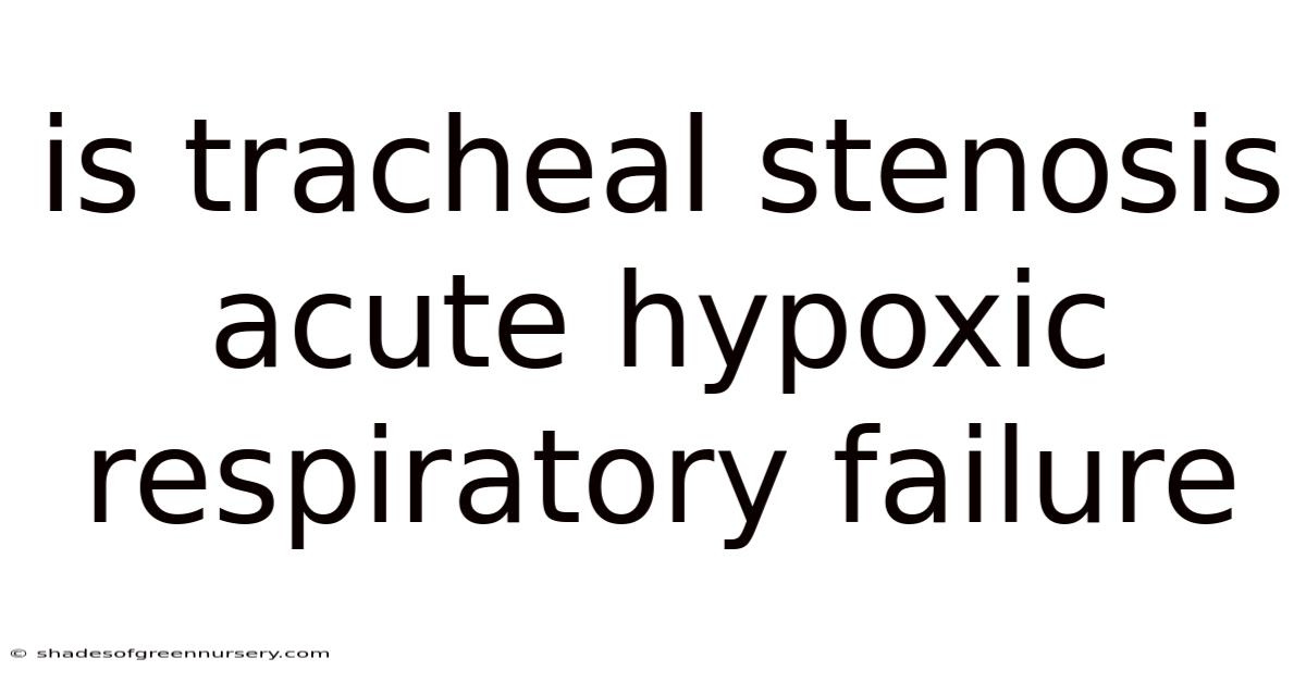 Is Tracheal Stenosis Acute Hypoxic Respiratory Failure