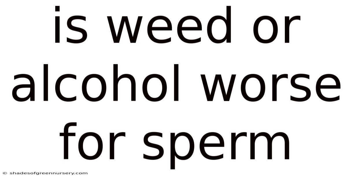 Is Weed Or Alcohol Worse For Sperm