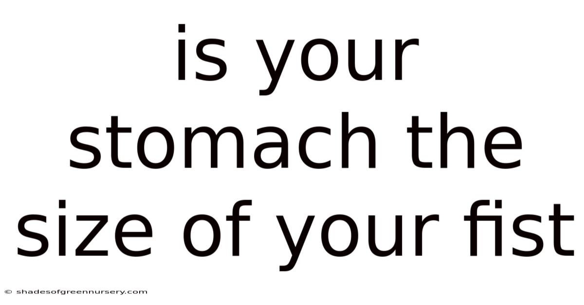 Is Your Stomach The Size Of Your Fist