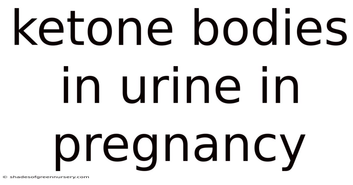 Ketone Bodies In Urine In Pregnancy