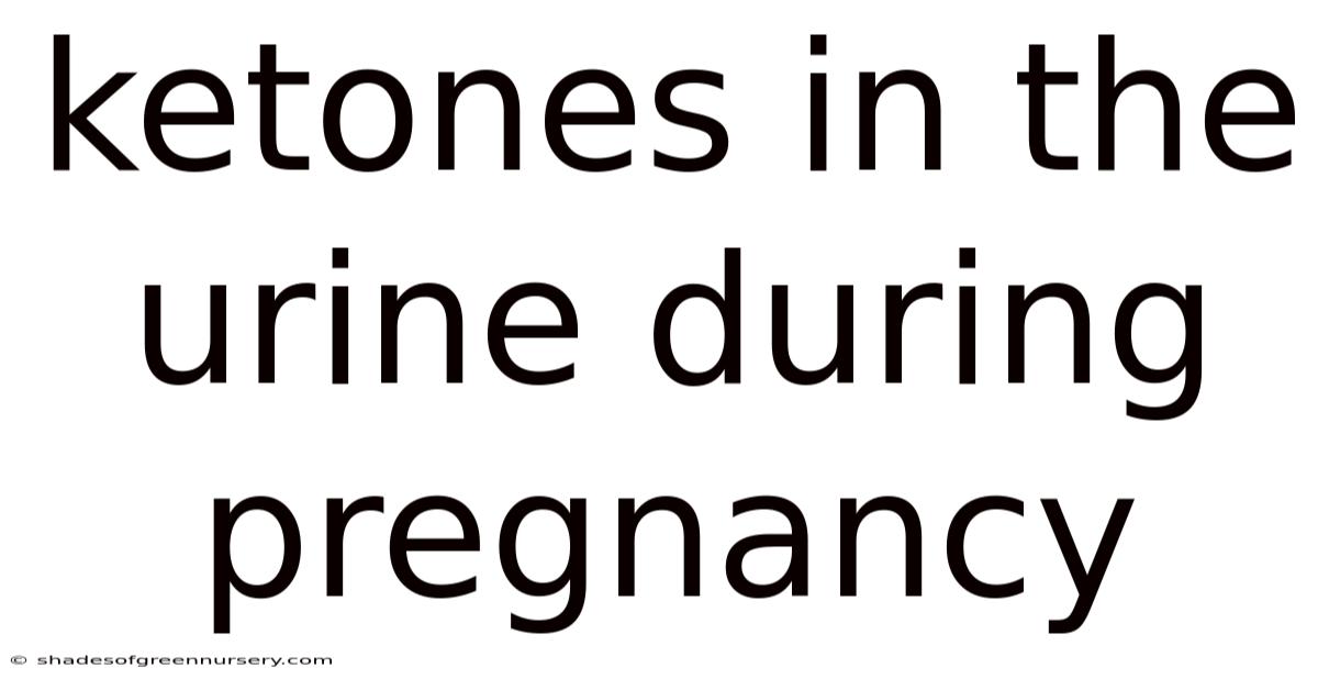 Ketones In The Urine During Pregnancy